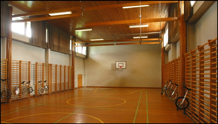 Voldparkens Skole - Energicenter Voldparken Gymnastiksale