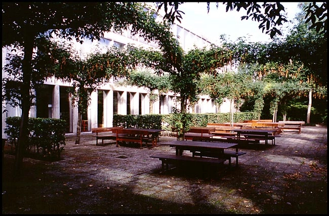 Tårnby Rådhus Haveanlæg