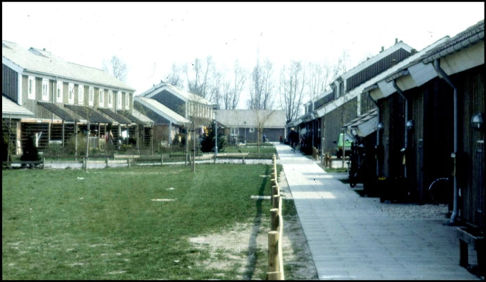 Druemarken Fællesareal