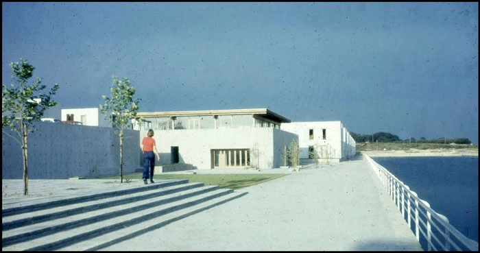 Danmarks Internationale Kollegium 