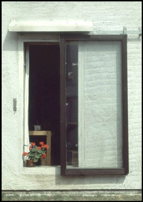 Danmarks Internationale Kollegium Vindue