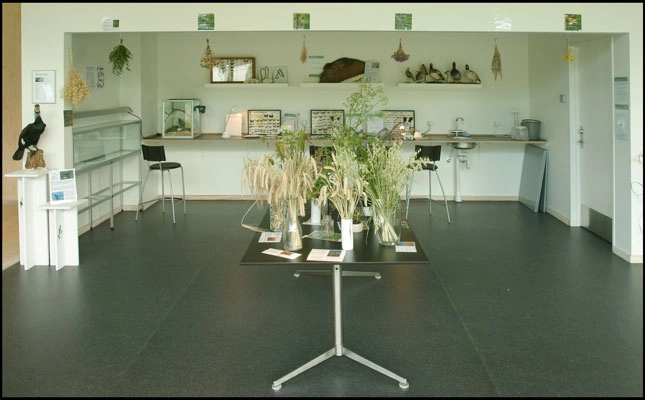 Lille Vildmose Centret Skoletjeneste