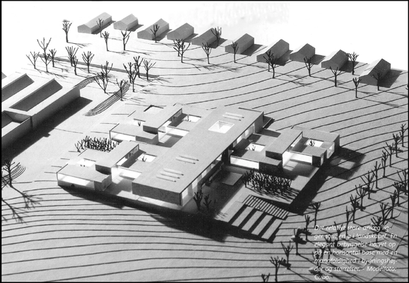 Decentralt Psykiatrisk Sygehus Model