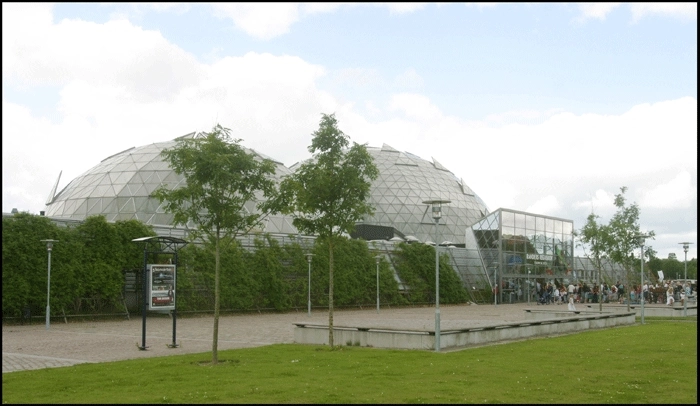 Randers Regnskov Kupler