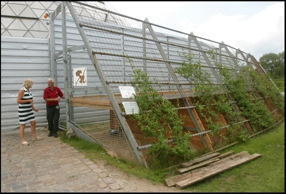 Randers Regnskov Hundeparkering