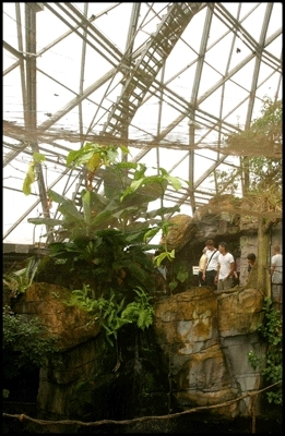 Randers Regnskov Kuplen set indefra I