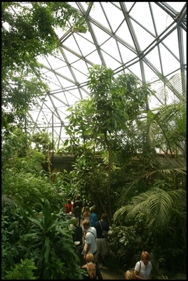 Randers Regnskov Kuplen set indefra II