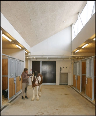 Universitetshospital for store husdyr Stald