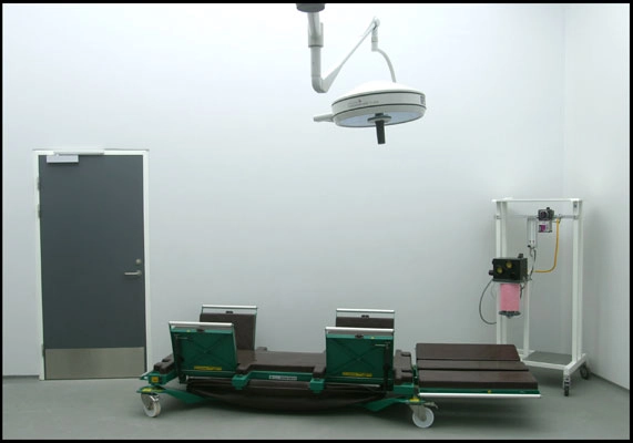 Universitetshospital for store husdyr Operationsstue