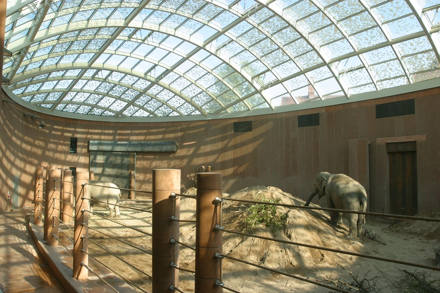 Elefanthuset Indeareal