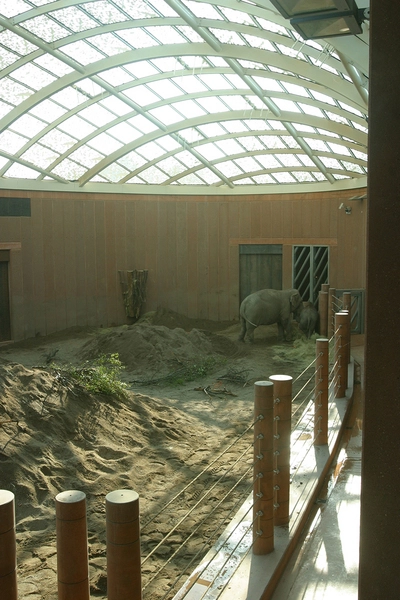 Elefanthuset Indeareal