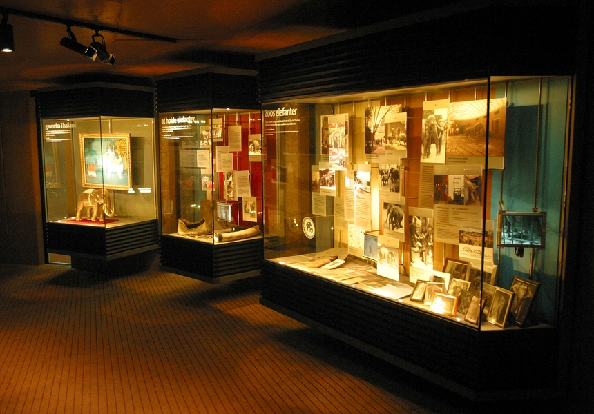 Elefanthuset 30 lille