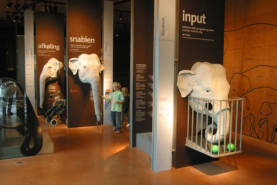 Elefanthuset Eksperimentarium 1