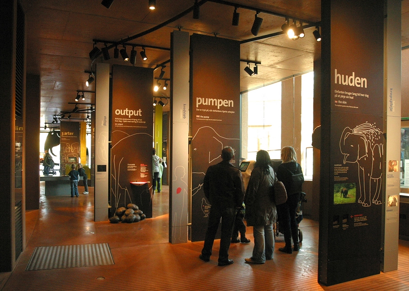 Elefanthuset Eksperimentarium 2