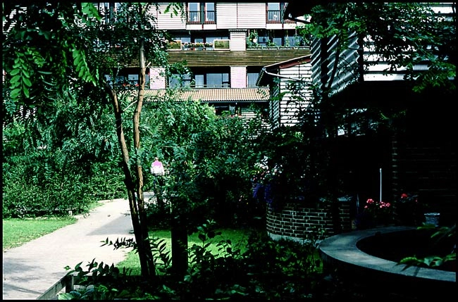 Solbjerg Have Sydvendt fællesareal