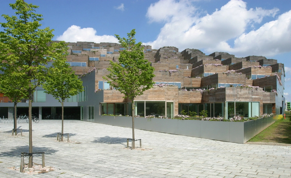 Bjerget Nybygget med nyplantet beplantning