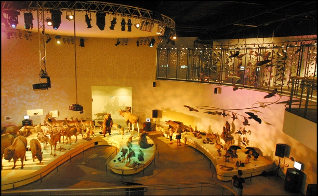 Naturama Det centrale udstillingsrum I