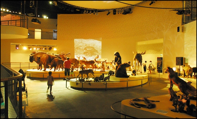 Naturama Det centrale udstillingsrum III