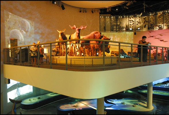 Naturama Balkon II