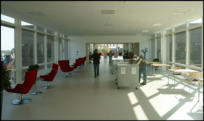 Skive Bibliotek Gangbro