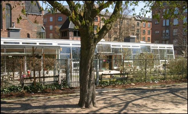 Stenurten Beliggenhed