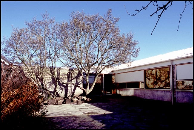 Munkegårdsskolen Gårdrum med træer