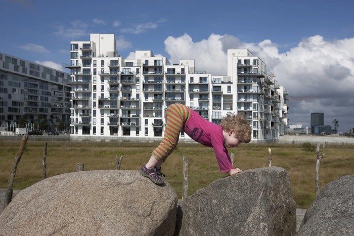 Stævnen Stævnen set fra Kalvebod Fælled