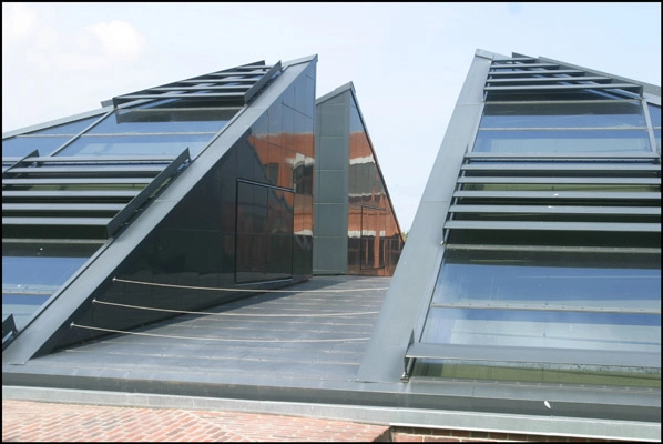 Struer Museum Tagudskæringer