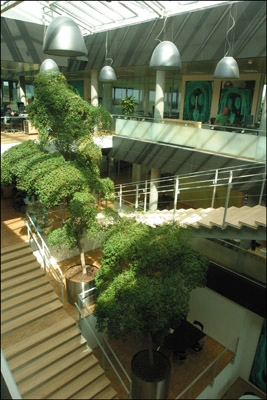 Sparekassen Østjylland Trappe