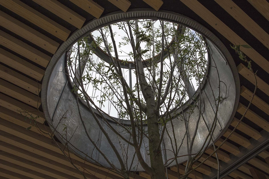 Søndermark Natur- og fritidshytte Hul gennem tagterrasse til trækrone