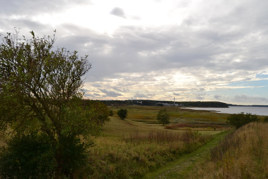 Græse Bakkebyskole Fjordlandskab