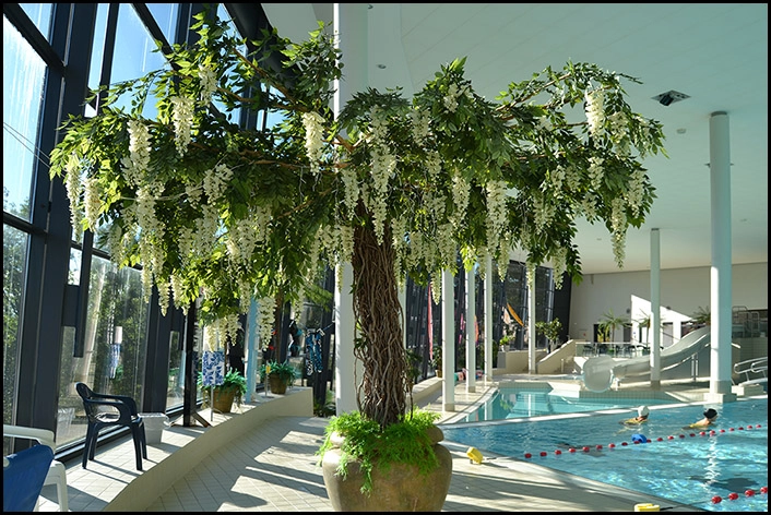 Bagsværd Svømmehal Palme