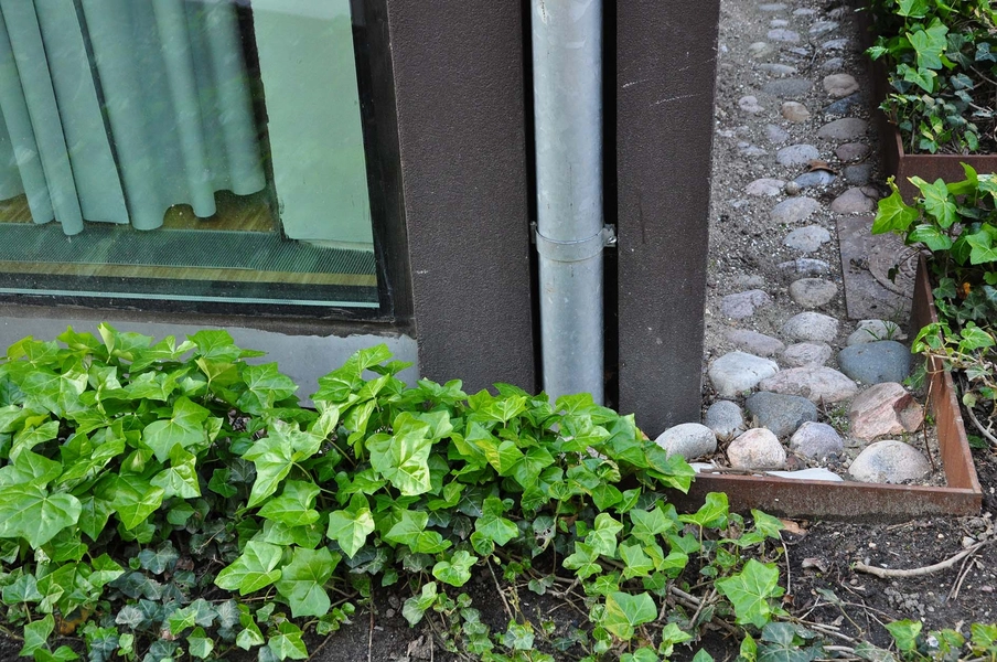 CBS Porcelænshaven Detalje omkring nedløbsrøret er integreret i facademuren