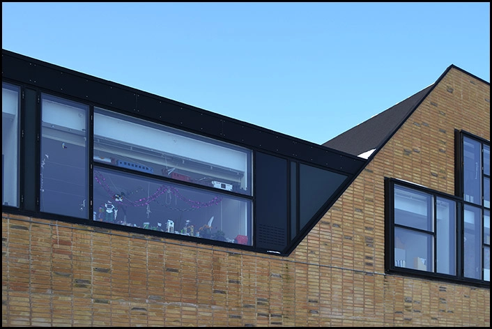 Kartoffelrækkerne, Trekroner Tagdetalje og vinduer