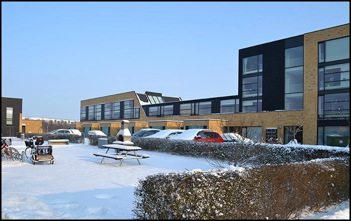 Kartoffelrækkerne, Trekroner Fællesareal