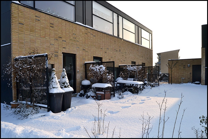 Kartoffelrækkerne, Trekroner Baghaver