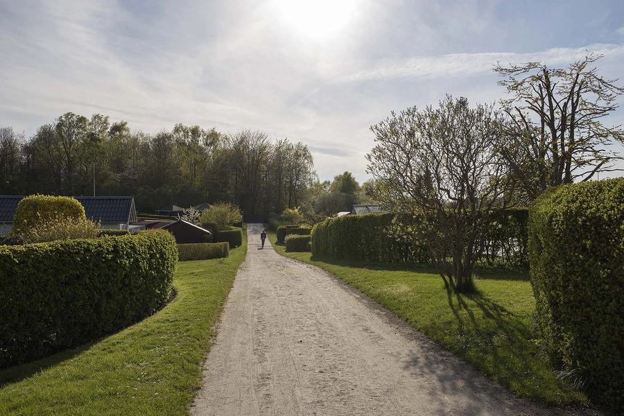 De ovale haver / De runde haver Stien gennem kolonihaveområdet
