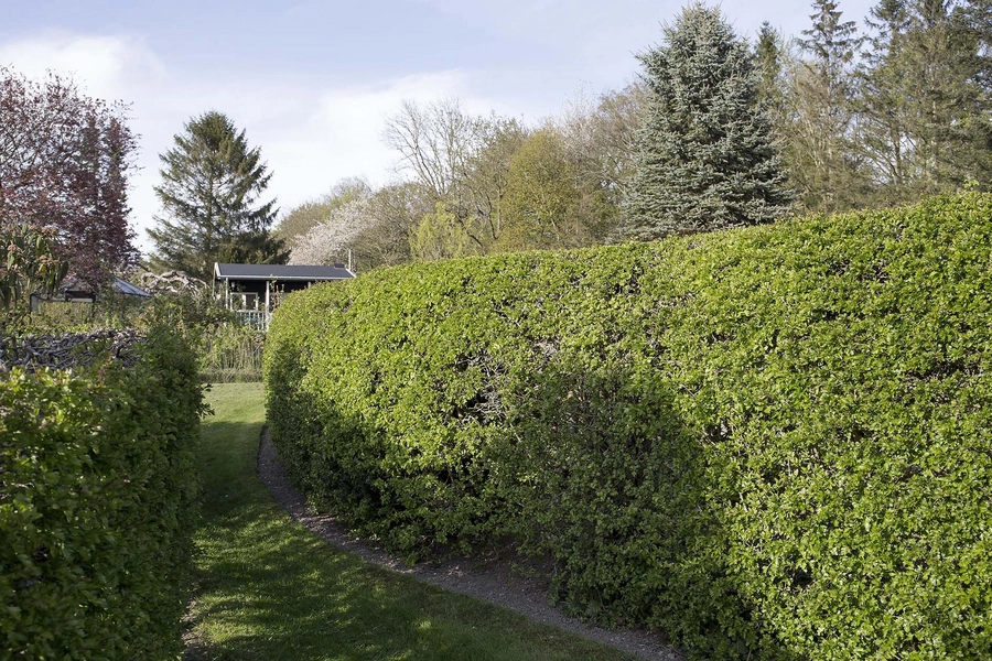 De ovale haver / De runde haver Smal passage