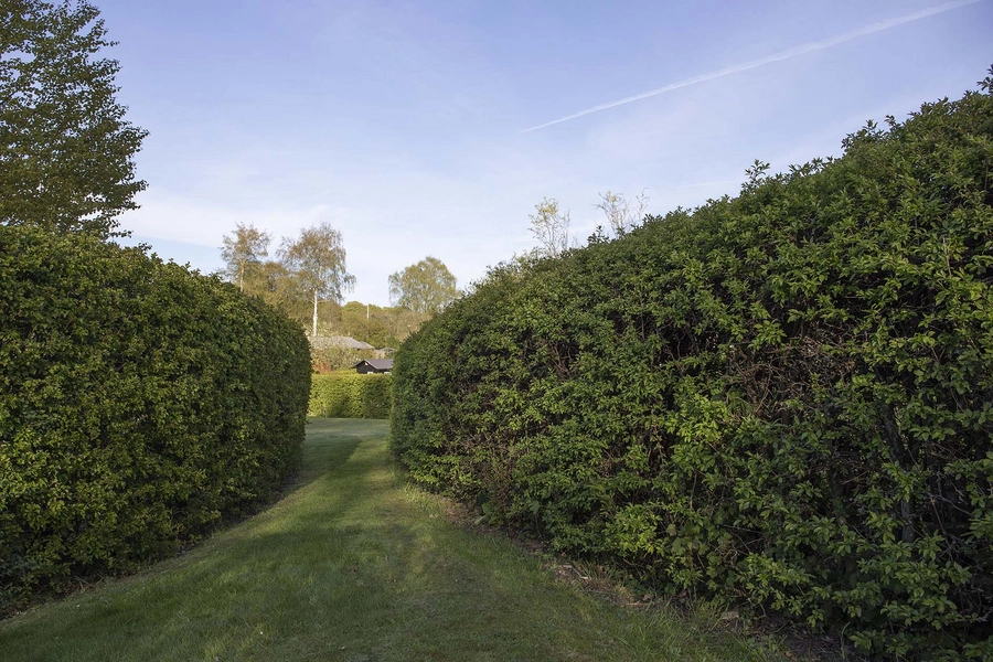 De ovale haver / De runde haver Passage