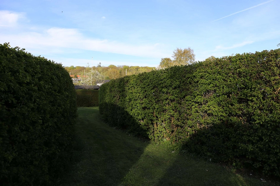 De ovale haver / De runde haver Passage