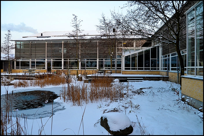 Kingoskolen Gårdhave med terrasser.