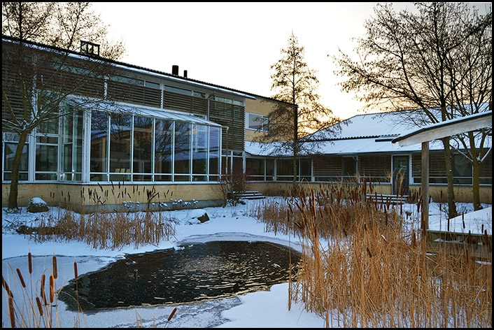 Kingoskolen 