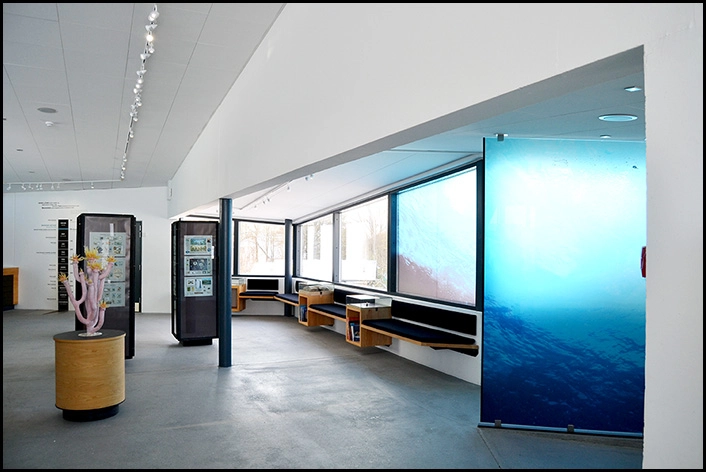 Geomuseum Faxe, Kulturhuset Kanten 1. sal