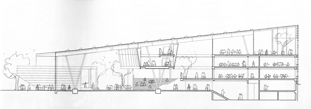 Nærum Gymnasium snit