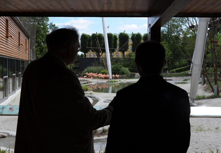 Fritflyvningsvoliere Kig ud over anlægget fra skjulet