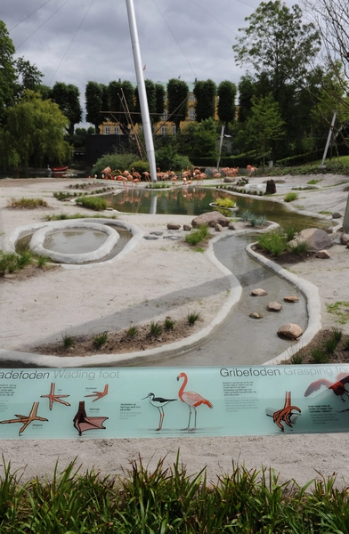 Fritflyvningsvoliere På et skilt er volierens fuglearter beskrevet