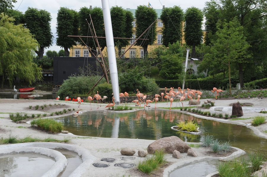 Fritflyvningsvoliere Fuglene i deltaområdet