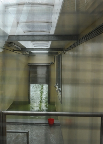 Fritflyvningsvoliere Pelikandokken set indefra