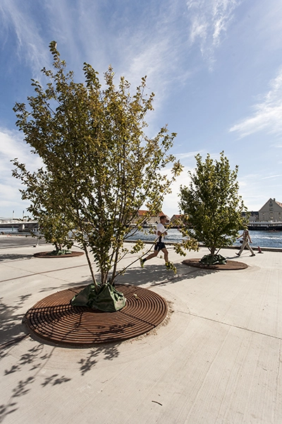 Havnegade Ny beplantning